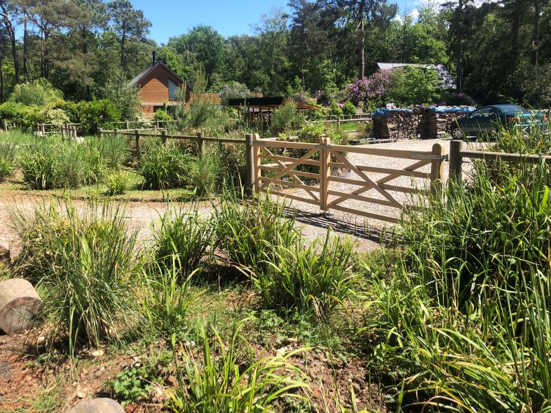 Charmanter Herr Thily