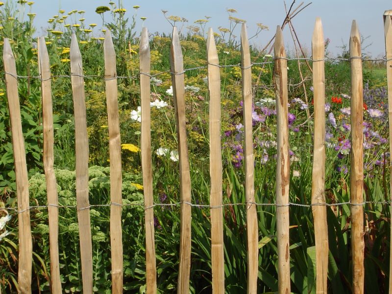 Kastanien-Ganivelle mit Blumenfeld